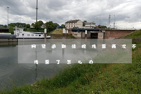 网贷逾期法院传票两次不去(网贷逾期法院发传票了怎么办)