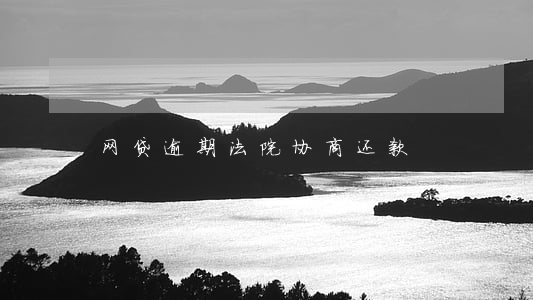 网贷逾期法院协商还款