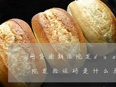 网贷逾期法院发duanxin(网贷逾期法院发验证码是什么原因)