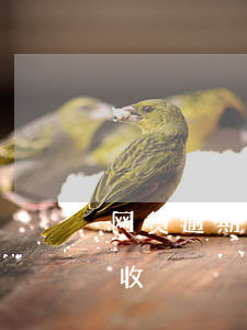 网贷逾期派出所协查函(网贷逾期法律函件催收)