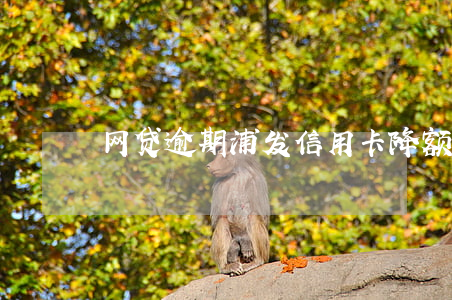 网贷逾期浦发信用卡降额了
