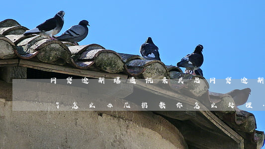 网贷逾期爆通讯录反思(网贷逾期被爆通讯录了怎么办?几招教你怎么处理...)