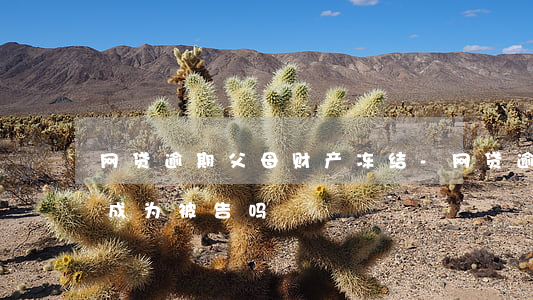 网贷逾期父母财产冻结-网贷逾期父母也会成为被告吗