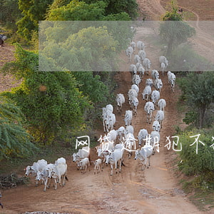 网贷逾期犯不犯法（网贷逾期犯法不）