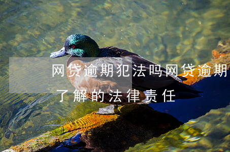 网贷逾期犯法吗，网贷逾期是否违法？你需要了解的法律责任