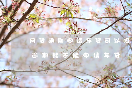 网贷逾期申请车贷可以吗(经常网贷但是没有逾期能不能申请车贷)