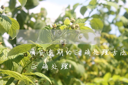 网贷逾期的正确处理方法(网贷都逾期了怎么正确处理)