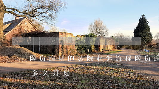 网贷逾期的法院起诉流程(网贷逾期起诉一般多久开庭)