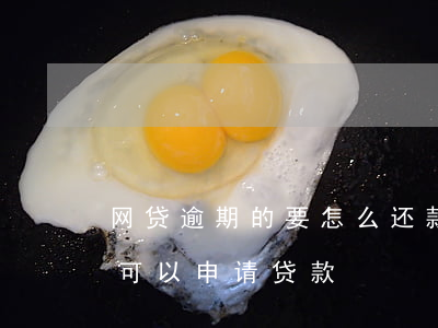 网贷逾期的要怎么还款(网贷逾期还清后多久可以申请贷款)