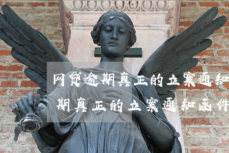 网贷逾期真正的立案通知函件图片-网贷逾期真正的立案通知函件图片大全