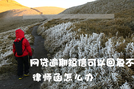 网贷逾期短信可以回复不(网贷逾期收到短信律师函怎么办)