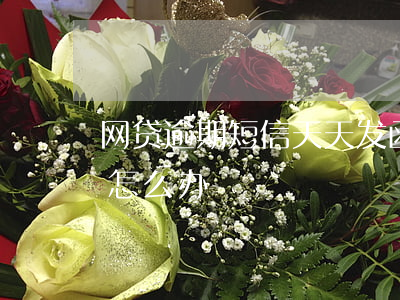 网贷逾期短信天天发函(网贷平台天天发短信怎么办)