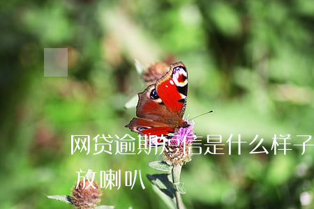网贷逾期短信是什么样子的（网贷逾期短信说放喇叭）