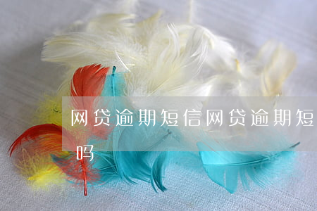 网贷逾期短信(网贷逾期短信带有退订的可信吗)