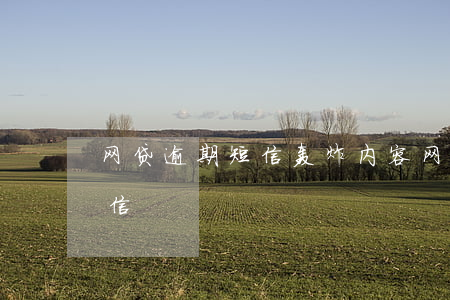 网贷逾期短信轰炸内容(网贷严重逾期警告短信)