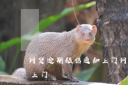 网贷逾期短信通知上门(网贷逾期发短信说要上门)