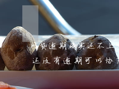 网贷逾期确实还不上又协商不了怎么办（网贷还没有逾期可以协商还款吗）