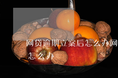 网贷逾期立案后怎么办(网贷逾期了被起诉了怎么办)