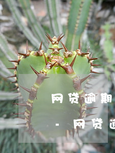 网贷逾期经济调查小组去村委会取证合法吗-网贷逾期经济调查小组去村委会取证合法吗