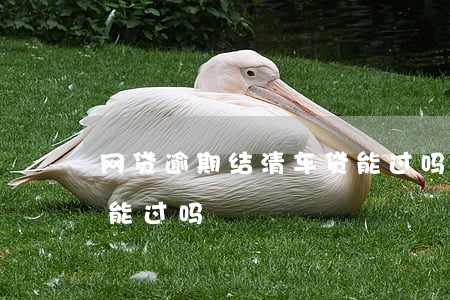 网贷逾期结清车贷能过吗(网贷逾期结清车贷能过吗)