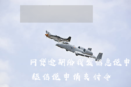 网贷逾期给我发信息说申请支付令-网贷发短信说申请支付令