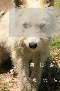网贷逾期给我发威胁短信(网贷逾期收到威胁短信怎么办)