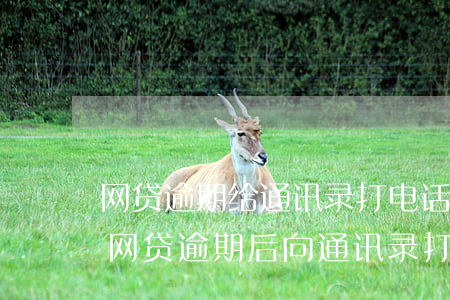 网贷逾期给通讯录打电话犯法吗，是否犯法？网贷逾期后，向通讯录打电话的行为应如何评估