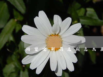 网贷逾期罚息利息太高(网贷逾期的利息)