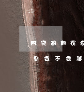 网贷逾期罚息是不是合理(网贷逾期还不上罚息会不会越来越多)