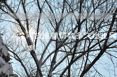 网贷逾期罚款多久终止(网贷逾期多久算严重啊)