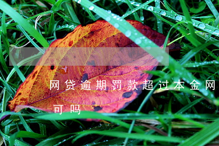 网贷逾期罚款超过本金(网贷逾期罚金法律认可吗)