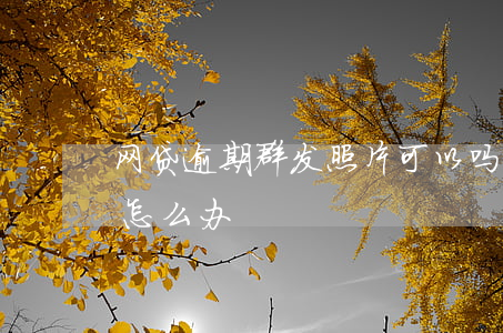 网贷逾期群发照片可以吗(网贷逾期群发信息怎么办)