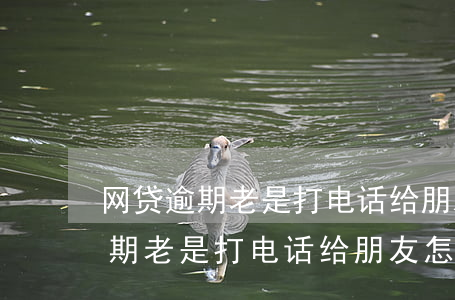 网贷逾期老是打电话给朋友怎么办-网贷逾期老是打电话给朋友怎么办呢
