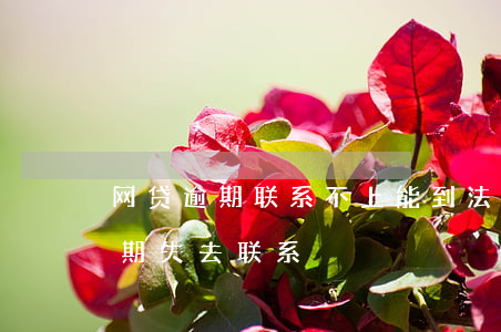 网贷逾期联系不上能到法院诉讼吗-网贷逾期失去联系