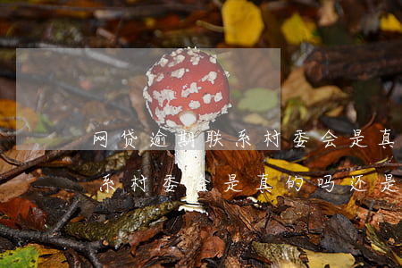 网贷逾期联系村委会是真的吗-网贷逾期联系村委会是真的吗还是假的