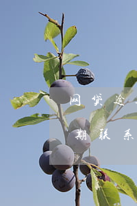 网贷逾期联系除紧急联系人外人员-网贷逾期联系除紧急联系人外人员是真的吗