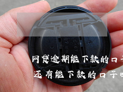 网贷逾期能下款的口子-当前网贷逾期严重,还有能下款的口子吗