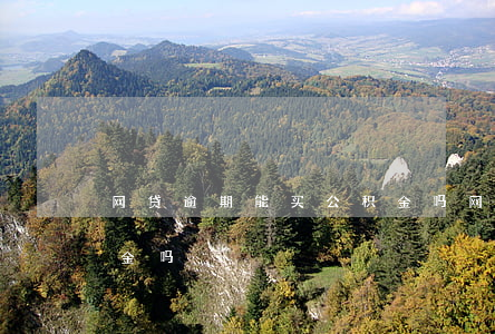 网贷逾期能买公积金吗(网贷逾期可以取公积金吗)