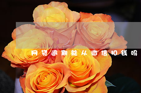 网贷逾期能从微信扣钱吗