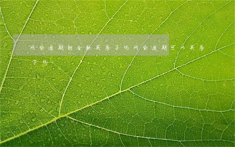 网贷逾期能全款买房子吗(网贷逾期可以买房子吗)