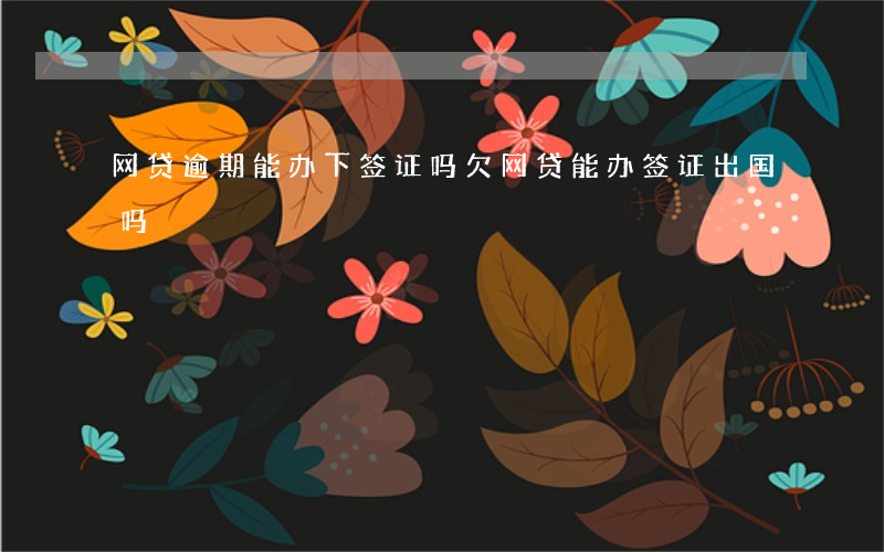 网贷逾期能办下签证吗(欠网贷能办签证出国吗)