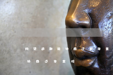 网贷逾期能协商还款本金吗(网贷没逾期可以协商还本金吗)