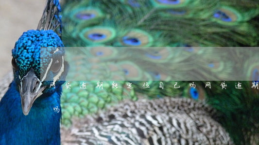 网贷逾期能定位自己吗(网贷逾期能定位自己吗)