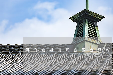 网贷逾期能找客服宽限么(网贷逾期打电话)