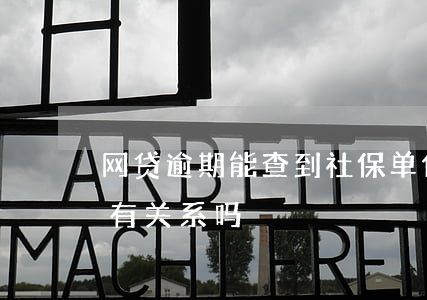 网贷逾期能查到社保单位吗 网贷逾期和社保有关系吗