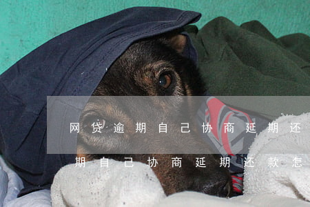 网贷逾期自己协商延期还款怎么样-网贷逾期自己协商延期还款怎么样才能成功