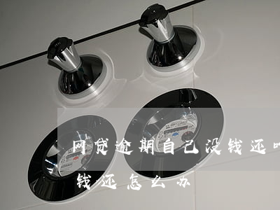 网贷逾期自己没钱还咋办(网上贷款逾期了没钱还怎么办)