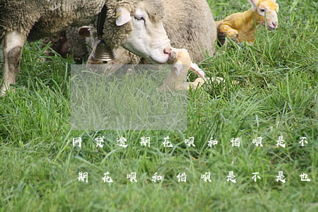 网贷逾期花呗和借呗是不是也会关-网贷逾期花呗和借呗是不是也会关闭