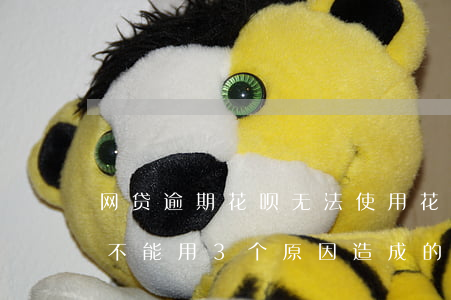 网贷逾期花呗无法使用(花呗没有逾期为什么不能用?3个原因造成的)