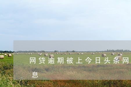 网贷逾期被上今日头条(网贷新闻头条最新消息)